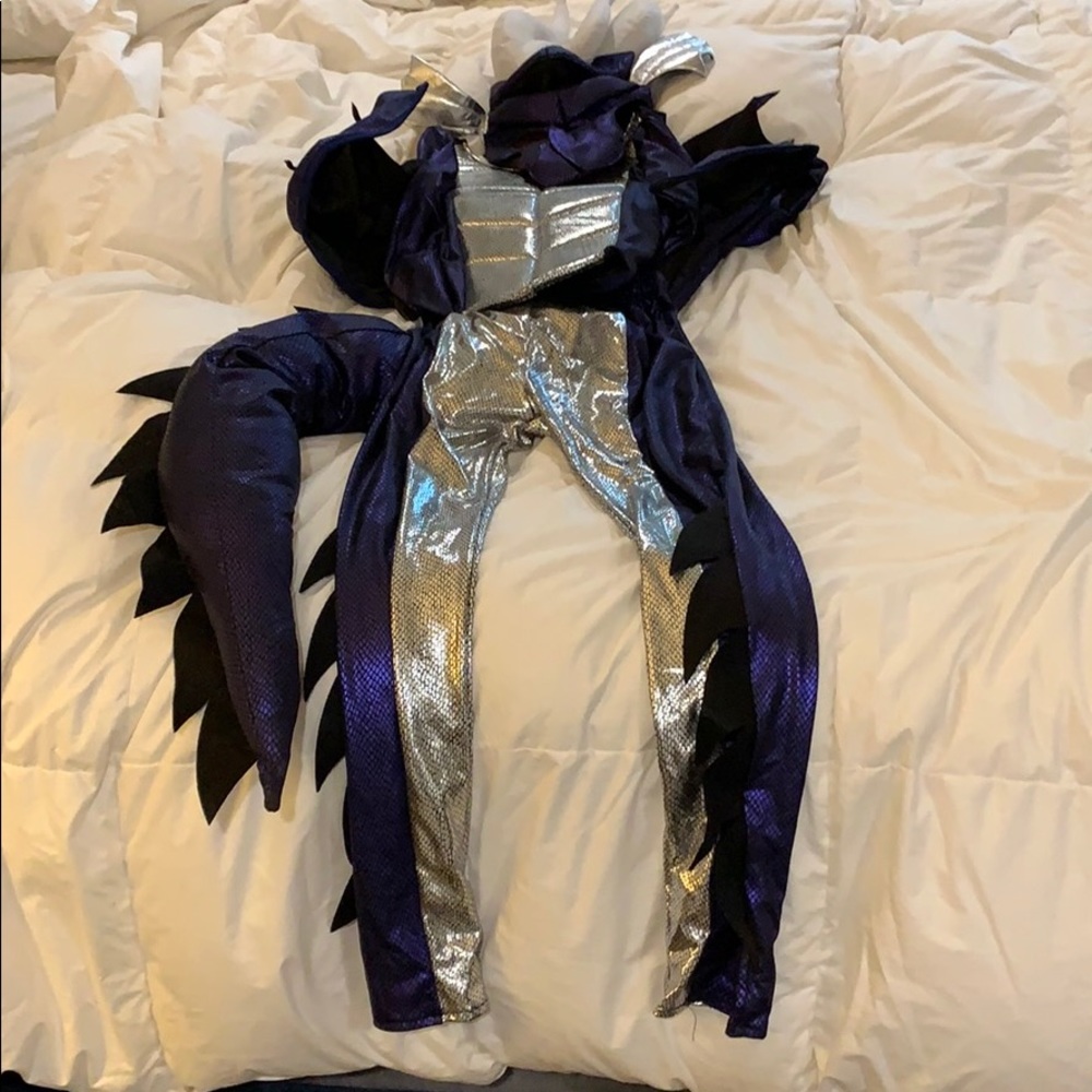 Dragon costume Youth Size 8-10